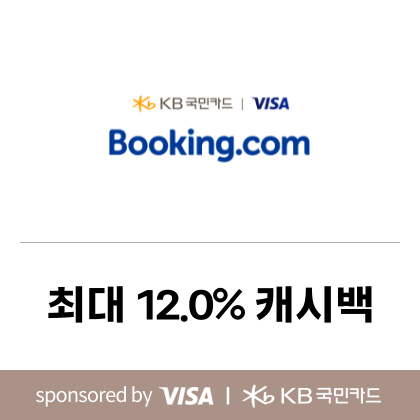 kbvisa_booking.com_feb
